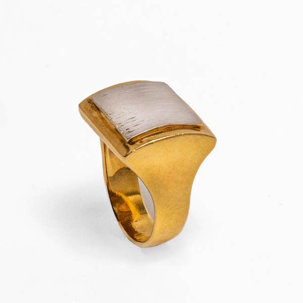 Anel Bicolor Ouro Amarelo e Ouro Branco 19.2K