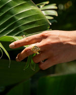 Anel em Ouro Amarelo 19,2K - 6,75gr